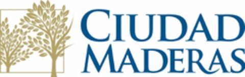 CIUDAD MADERAS Logo (USPTO, 23.01.2019)