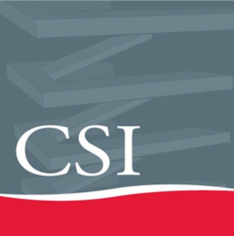 CSI Logo (USPTO, 07.10.2010)