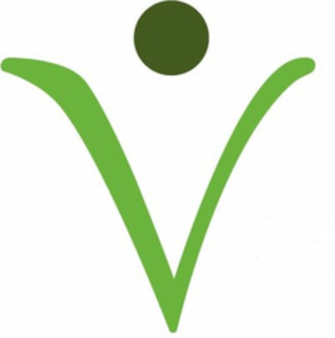 V Logo (USPTO, 01.07.2011)