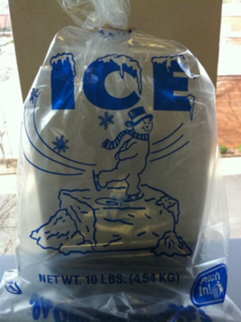 ICE Logo (USPTO, 07.02.2012)