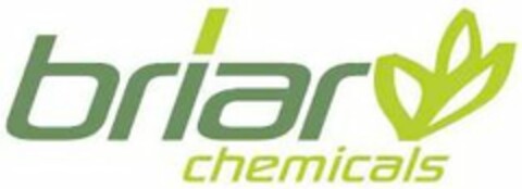 BRIAR CHEMICALS Logo (USPTO, 07/03/2012)
