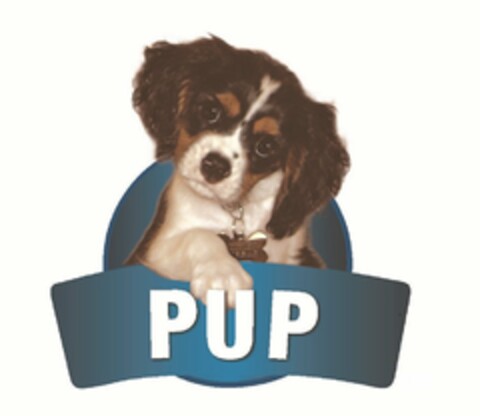 PUP Logo (USPTO, 24.04.2013)