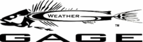 G WEATHER GAGE Logo (USPTO, 06.06.2013)