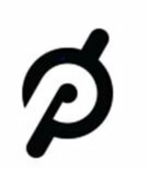 P Logo (USPTO, 08/13/2020)