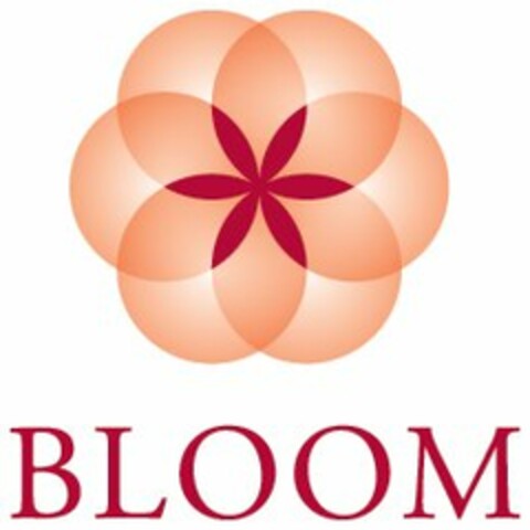 BLOOM Logo (USPTO, 03/10/2009)