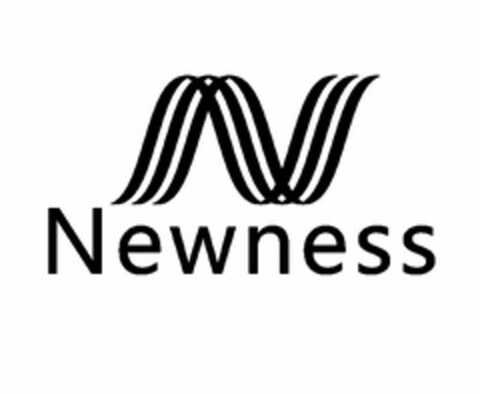 N NEWNESS Logo (USPTO, 19.05.2014)