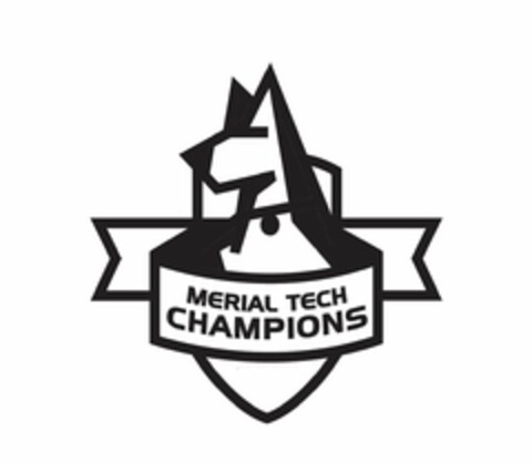 MERIAL TECH CHAMPIONS Logo (USPTO, 24.06.2015)