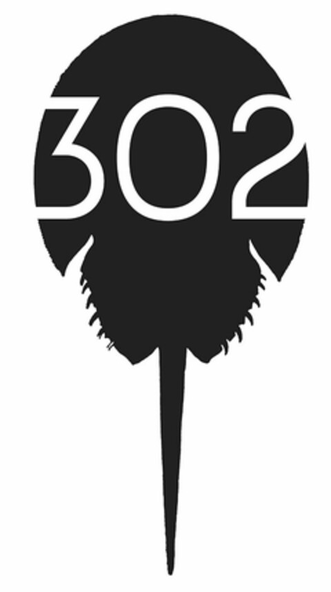 302 Logo (USPTO, 17.01.2018)