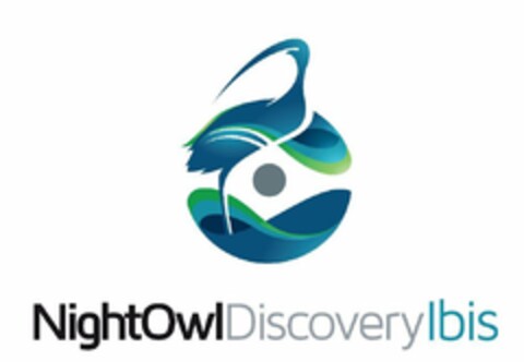 NIGHTOWLDISCOVERYIBIS Logo (USPTO, 14.06.2019)