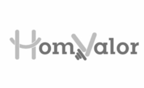 HOMVALOR Logo (USPTO, 28.06.2019)