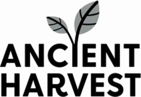 ANCIENT HARVEST Logo (USPTO, 09/16/2019)