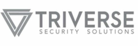 TRIVERSE SECURITY SOLUTIONS Logo (USPTO, 13.01.2020)