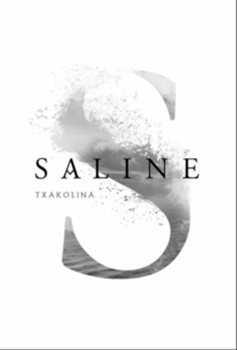 S SALINE TXAKOLINA Logo (USPTO, 31.05.2016)