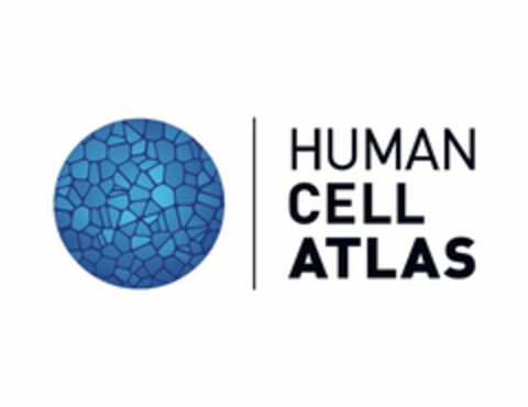 HUMAN CELL ATLAS Logo (USPTO, 18.04.2017)