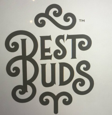 BEST BUDS Logo (USPTO, 27.09.2018)