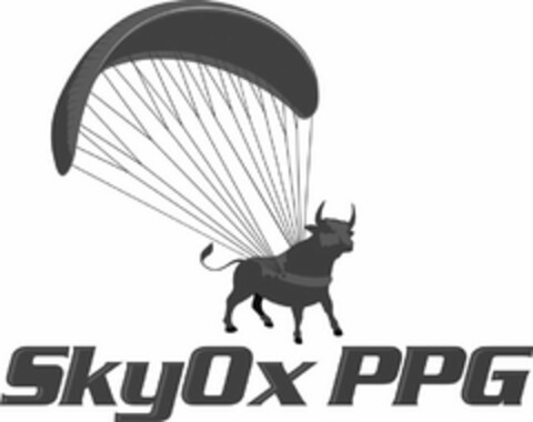 SKYOX PPG Logo (USPTO, 08/23/2019)