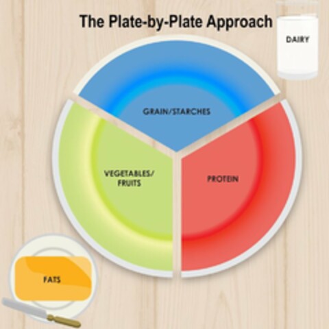 THE PLATE-BY-PLATE APPROACH DAIRY GRAIN / STARCHES VEGETABLES /FRUITS PROTEIN FATS Logo (USPTO, 12/04/2019)