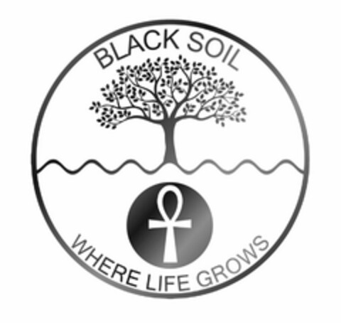 BLACK SOIL WHERE LIFE GROWS Logo (USPTO, 15.06.2020)