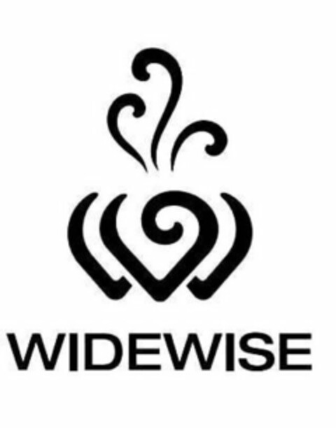 WIDEWISE Logo (USPTO, 06/23/2020)