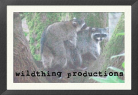 WILDTHING PRODUCTIONS Logo (USPTO, 09/27/2009)