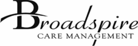 BROADSPIRE CARE MANAGEMENT Logo (USPTO, 17.11.2010)