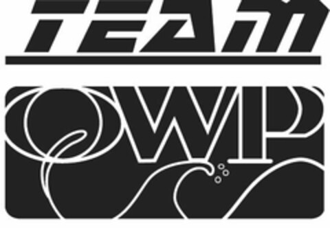 TEAM QWP Logo (USPTO, 30.01.2012)