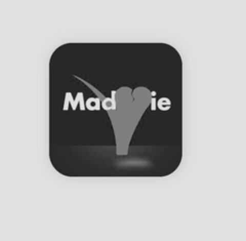 MADIE Logo (USPTO, 13.10.2015)