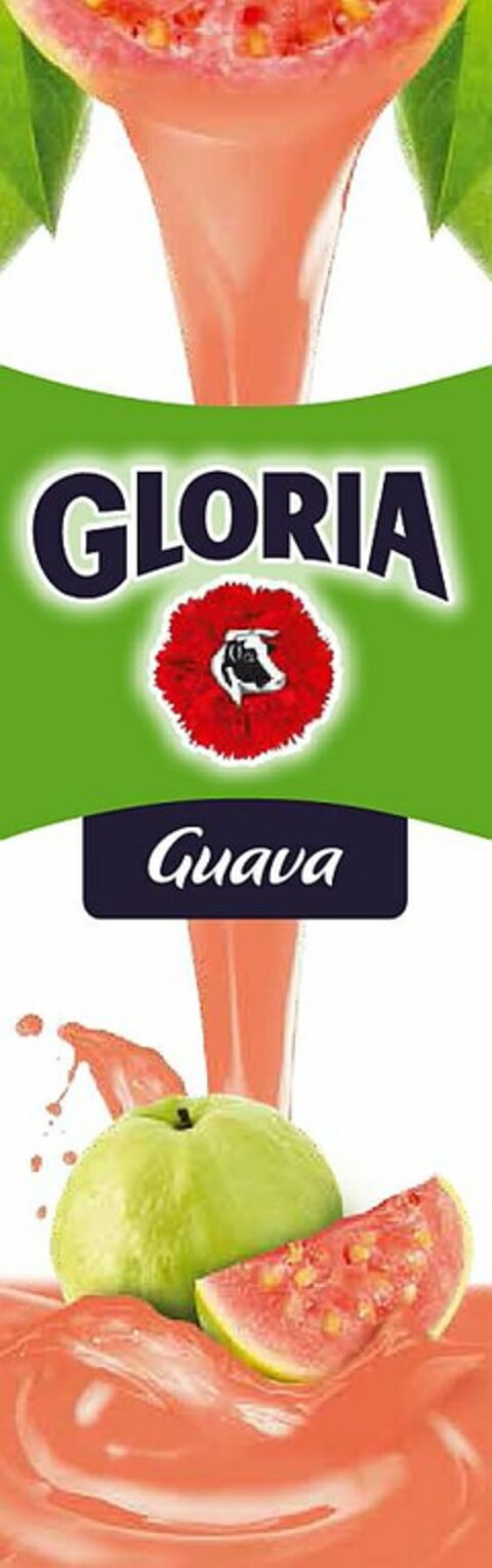 GLORIA GUAVA Logo (USPTO, 30.08.2018)