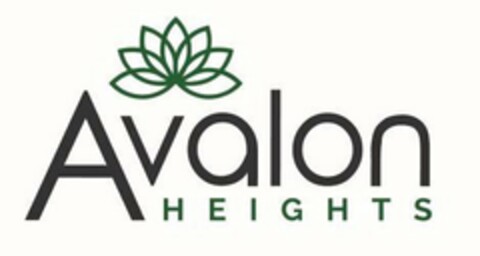 AVALON HEIGHTS Logo (USPTO, 22.07.2019)