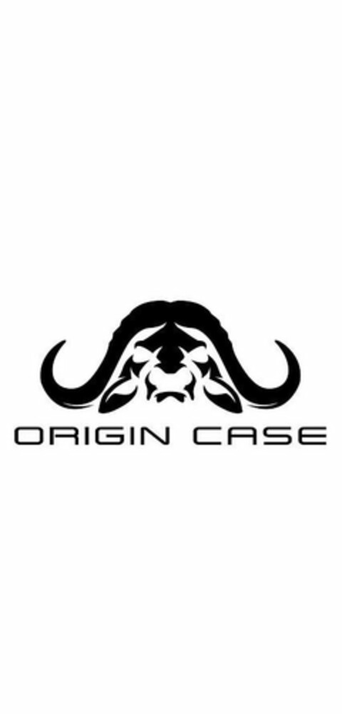 ORIGIN CASE Logo (USPTO, 12.05.2020)