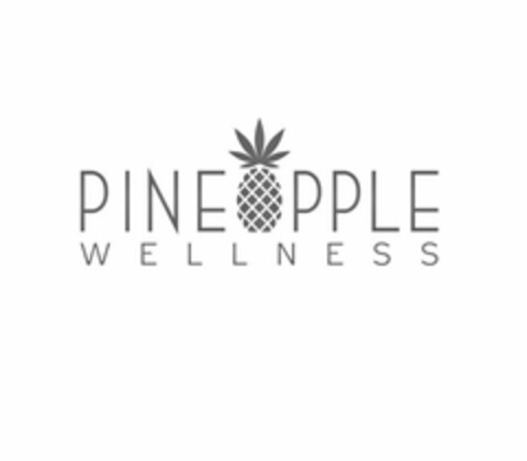 PINE PPLE WELLNESS Logo (USPTO, 04.06.2020)