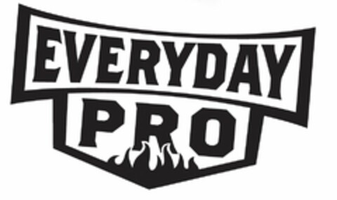 EVERYDAY PRO Logo (USPTO, 25.06.2010)