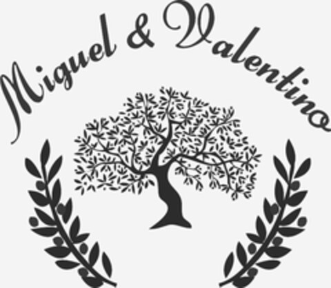 MIGUEL & VALENTINO Logo (USPTO, 20.08.2013)