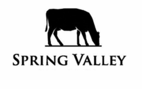 SPRING VALLEY Logo (USPTO, 24.03.2016)