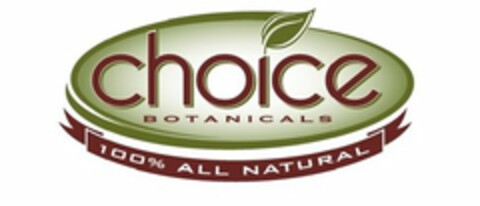 CHOICE BOTANICALS Logo (USPTO, 06/21/2017)