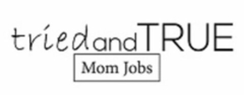 TRIED AND TRUE MOM JOBS Logo (USPTO, 22.04.2020)