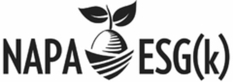 NAPA ESG(K) Logo (USPTO, 11.09.2020)