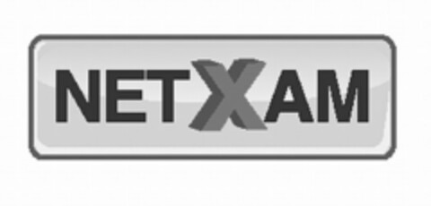 NETXAM Logo (USPTO, 14.12.2010)