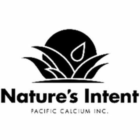 NATURE'S INTENT PACIFIC CALCIUM INC. Logo (USPTO, 03/03/2010)