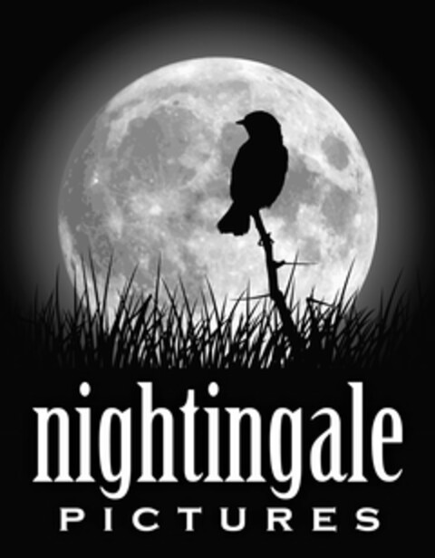 NIGHTINGALE PICTURES Logo (USPTO, 10.09.2010)