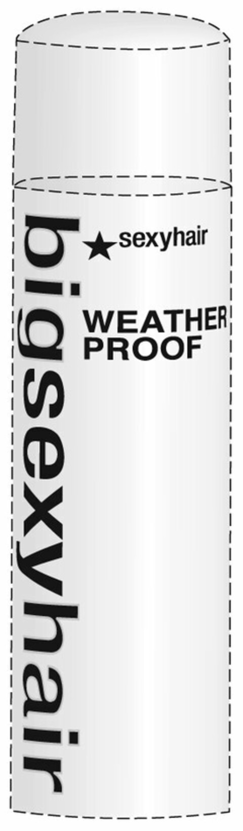 BIGSEXYHAIR SEXYHAIR WEATHER PROOF Logo (USPTO, 30.11.2011)