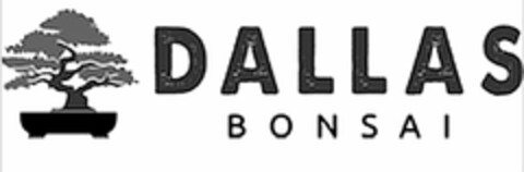 DALLAS BONSAI Logo (USPTO, 07/14/2017)