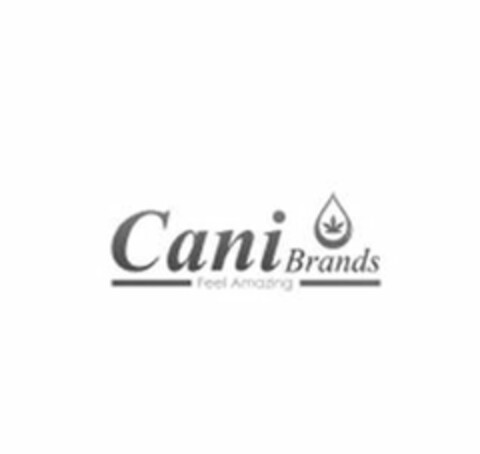 CANI BRANDS FEEL AMAZING Logo (USPTO, 17.07.2019)