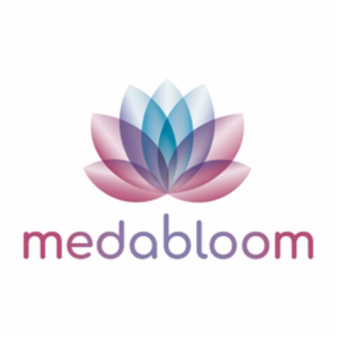 MEDABLOOM Logo (USPTO, 18.07.2019)