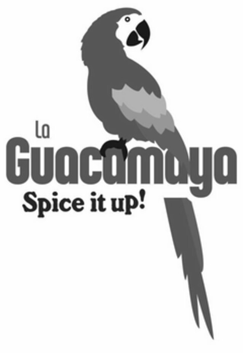 LA GUACAMAYA SPICE IT UP! Logo (USPTO, 19.02.2020)