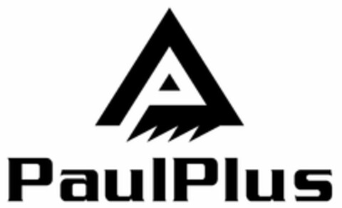 PAULPLUS Logo (USPTO, 02.08.2020)