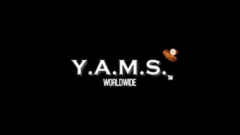 Y.A.M.S. WORLDWIDE Logo (USPTO, 16.09.2020)