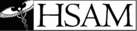 HSAM Logo (USPTO, 03/30/2010)