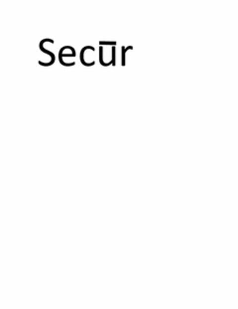 SECUR Logo (USPTO, 31.07.2013)