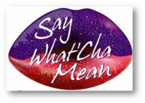 SAY WHAT'CHA MEAN Logo (USPTO, 14.04.2015)